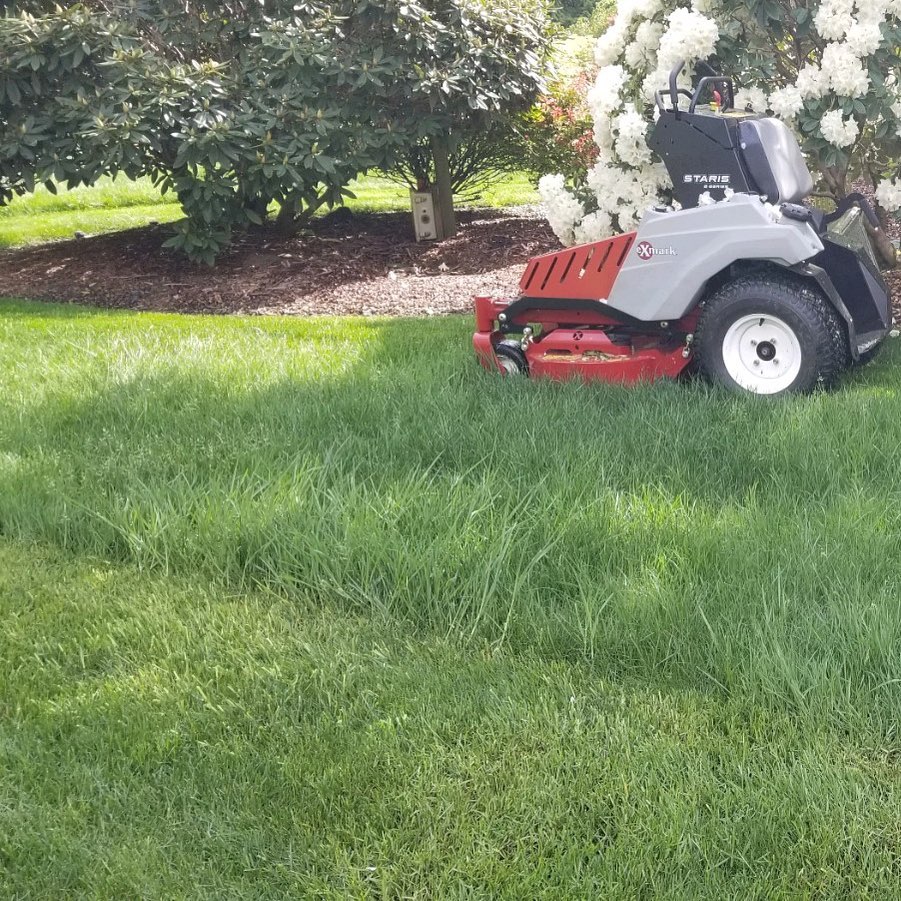 lawn care and maintenance