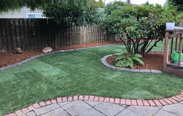 Lawncare Services & Landscaping Services Lacey WA