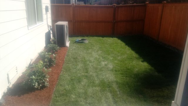 backyard landscaping