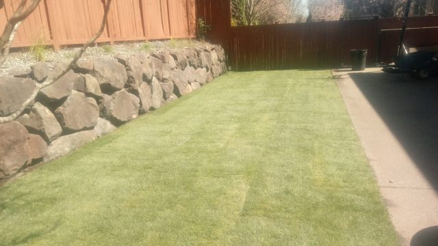 backyard landscaping