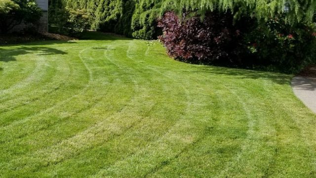 backyard patio