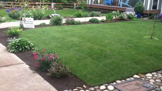 front yard garden