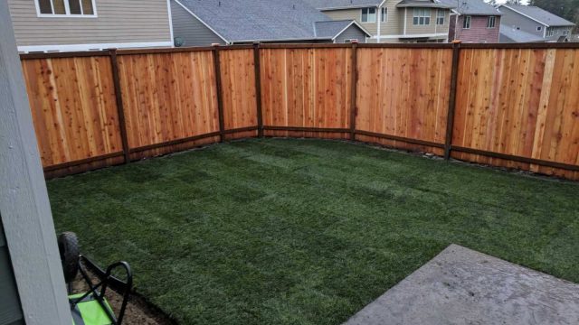 Lawn Care