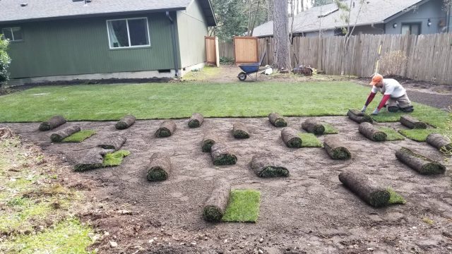 sod installation