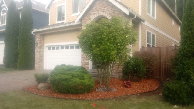 front yard garden