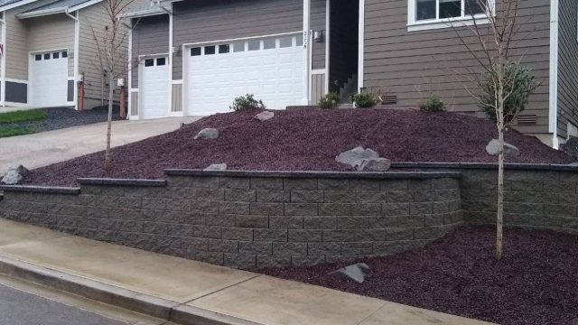 front yard garden