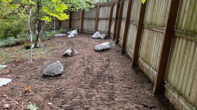 landscaped yard