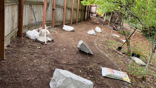 landscaped yard