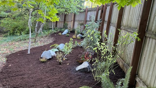 landscaped yard