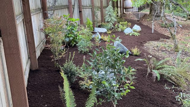 landscaped yard