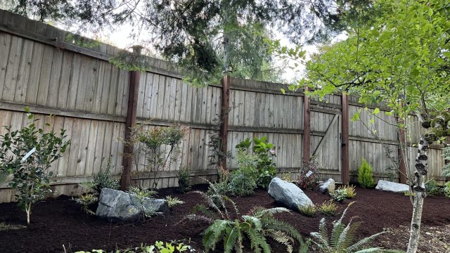 landscaped yard