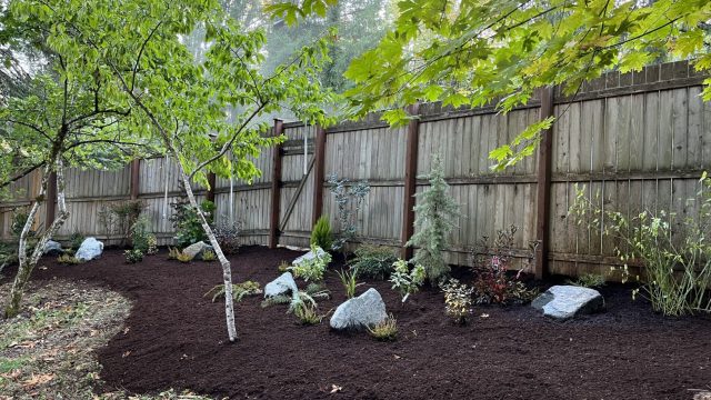 landscaped yard