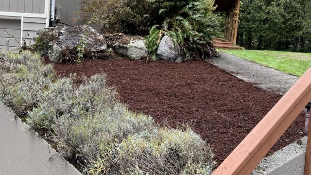 raised garden bed with retaining wall