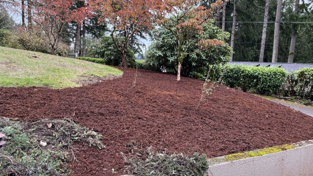 raised garden bed with retaining wall