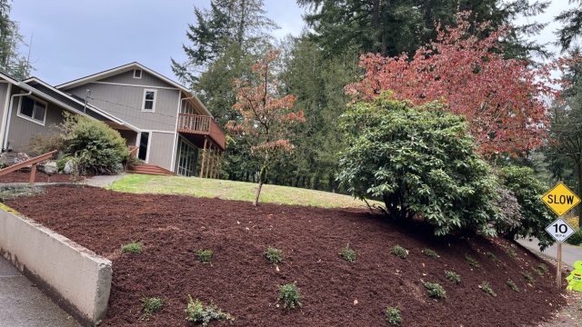 raised garden bed with retaining wall