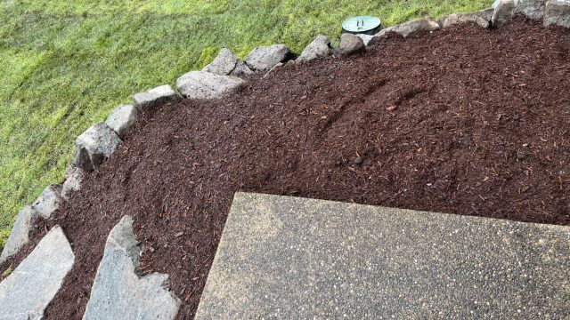 front yard garden