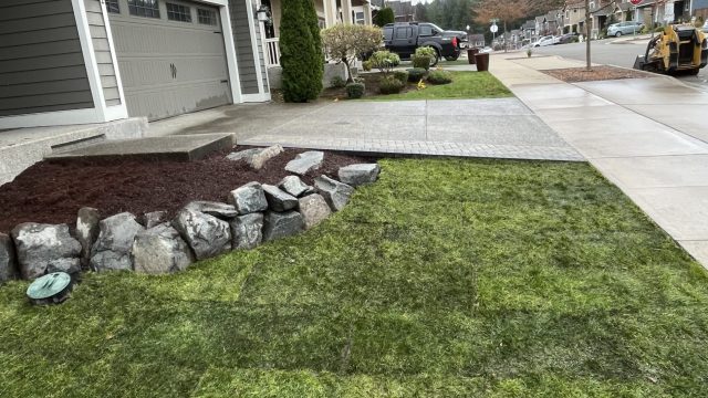 front yard garden