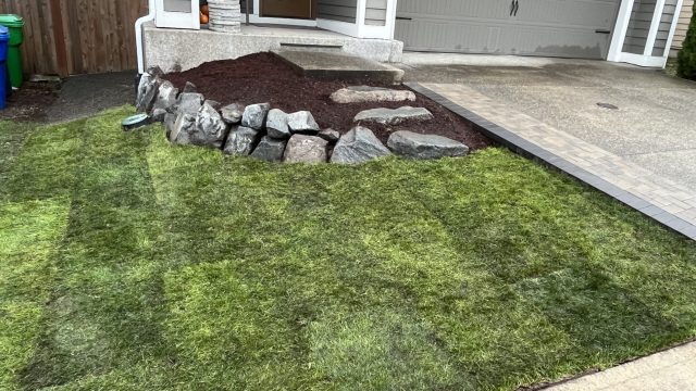 front yard garden