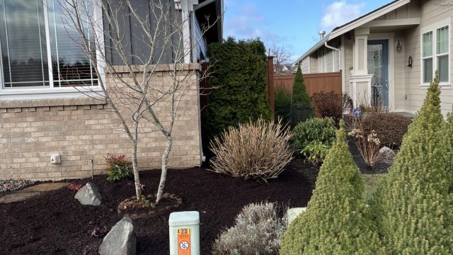 front yard garden