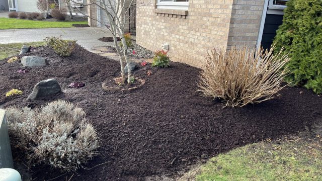 front yard garden
