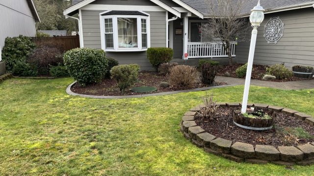 front yard garden