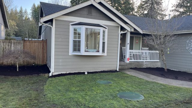 yard before landscaping