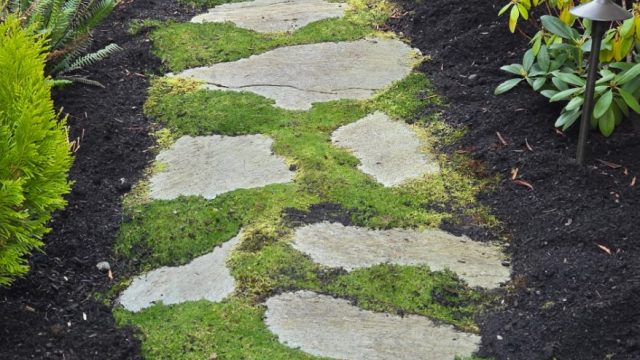 pathway