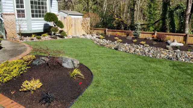 Sod installation garden design olympia wa