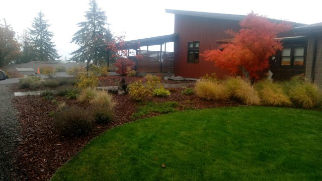 front yard garden